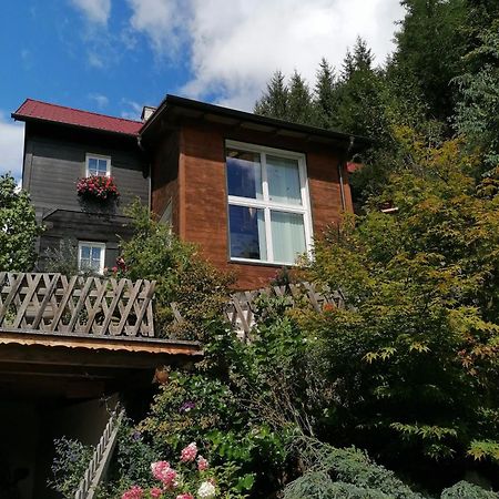Waldhaus Klein-Veitsch, Auszeit Im Gruenen Apartment Niederaigen Екстериор снимка